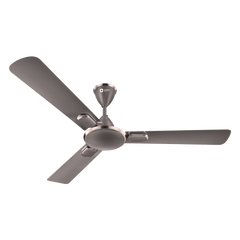 Blanco Decorative Ceiling Fan | 2-Year Warranty