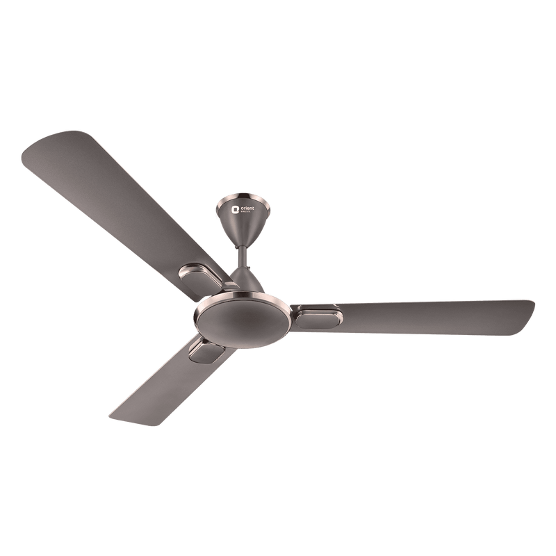 Blanco Decorative Ceiling Fan | 2-Year Warranty