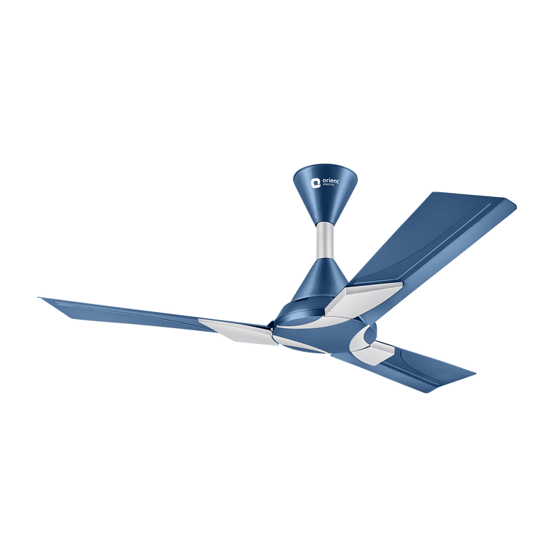 Wendy Stylish Ceiling Fan | 2-Year Warranty