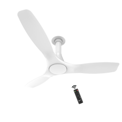 Aerosleek 5 Star Rated Premium BLDC Fan with Remote
