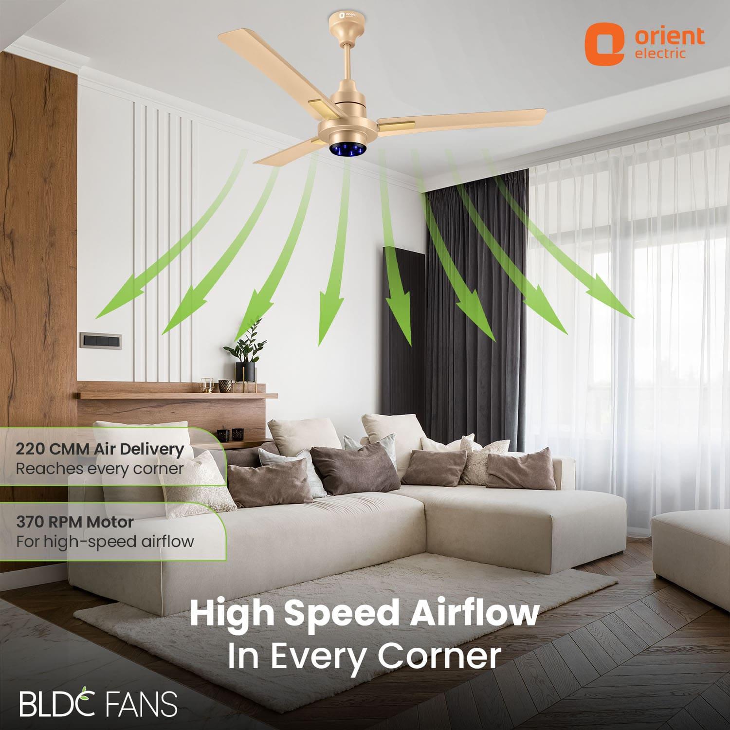 I Tome Smart BLDC Ceiling Fan | 3-Year Warranty