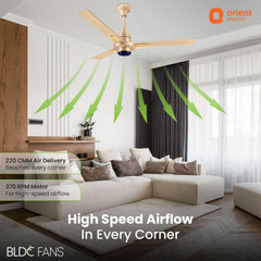 I Tome Smart BLDC Ceiling Fan | 3-Year Warranty