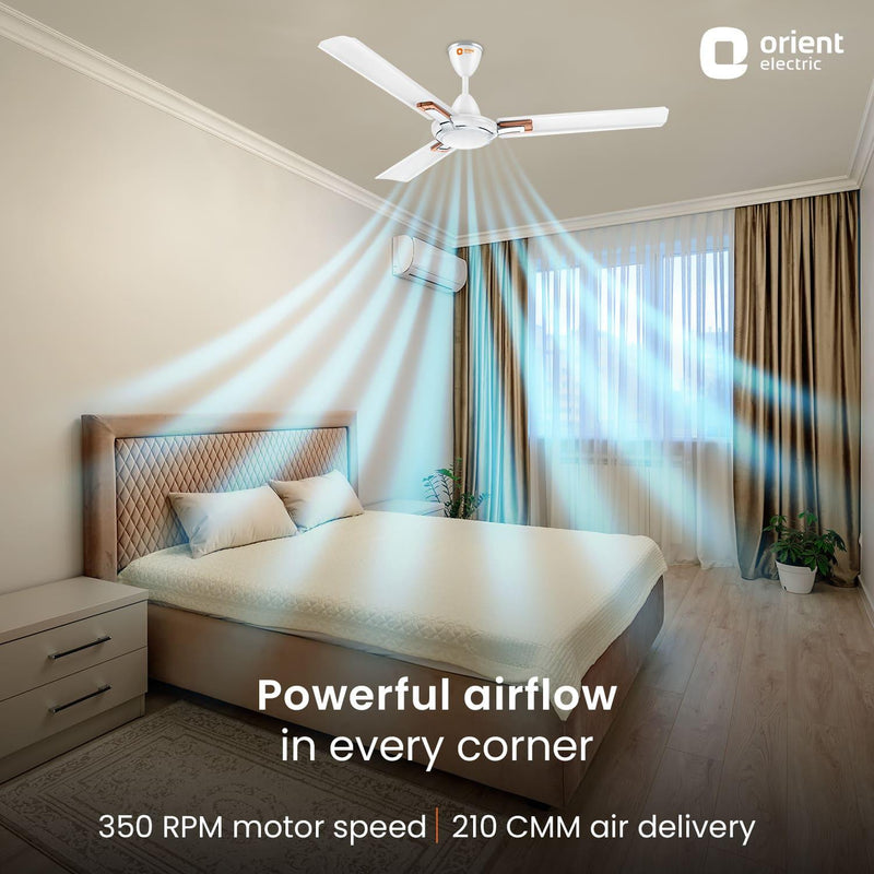 Apex Prime Ceiling Fan | 5-Year Warranty