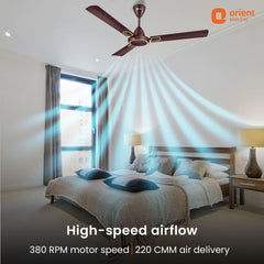 Falcon Deco High Speed Ceiling Fan | 2-Year Quality Warranty