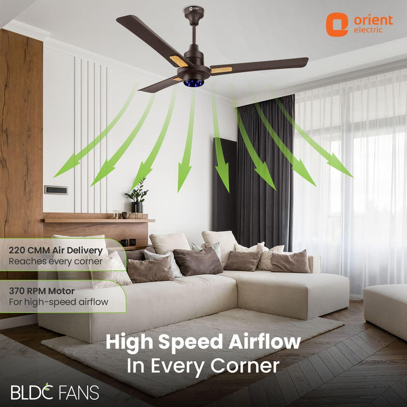 I Tome Smart BLDC Ceiling Fan | 3-Year Warranty