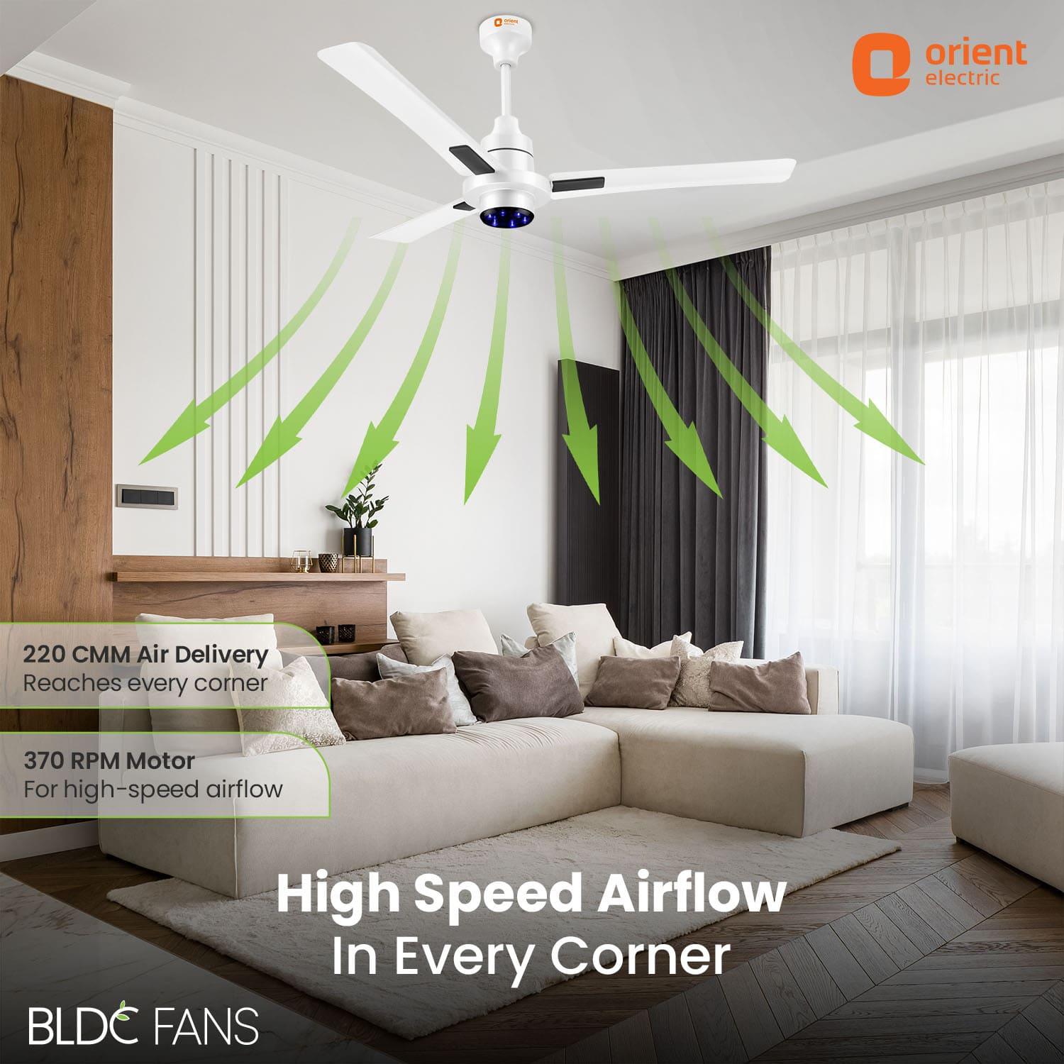 I Tome Smart BLDC Ceiling Fan | 3-Year Warranty