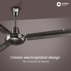 Quasar Ceiling Fan | 2-Year Warranty