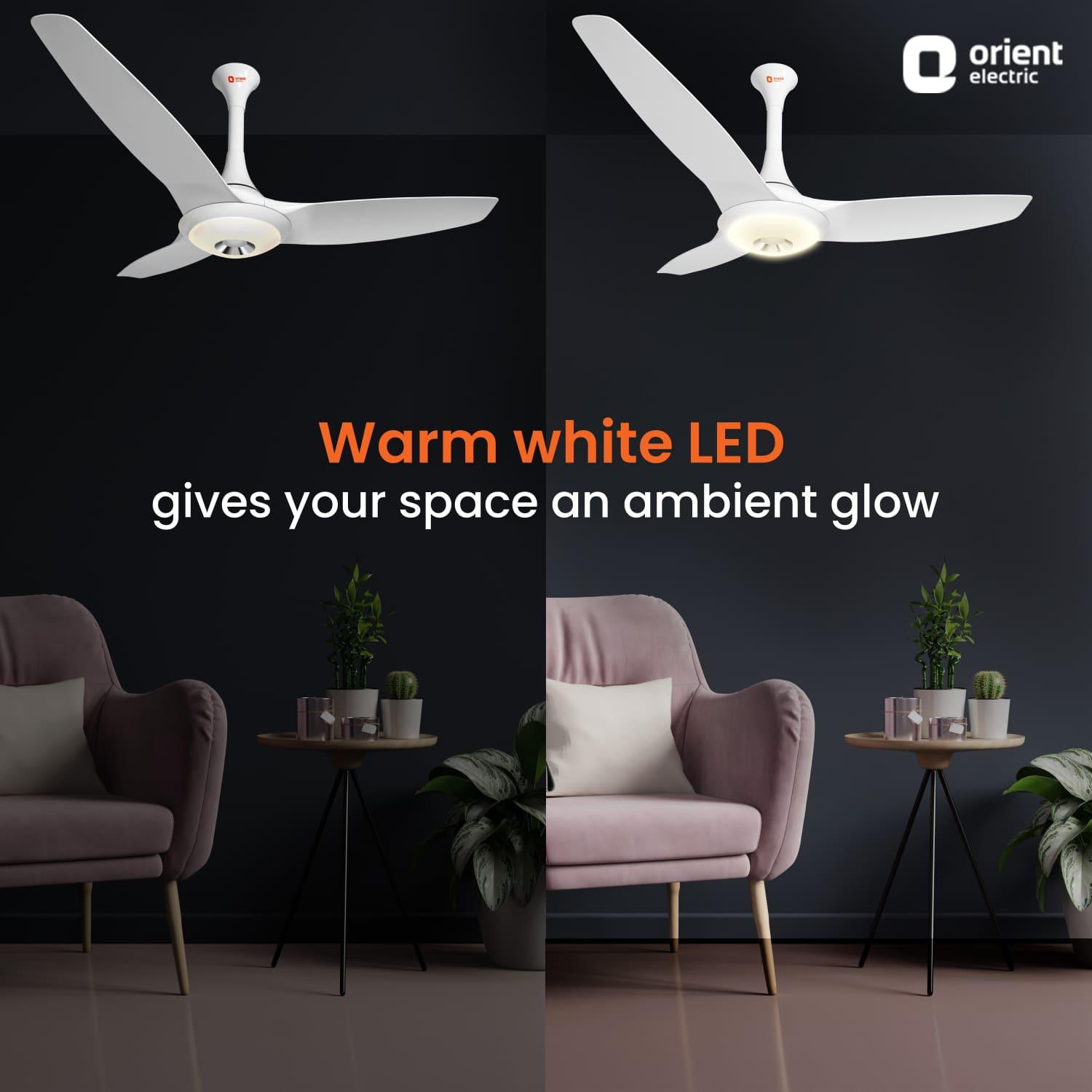 Aerolite Premium Ceiling Fan