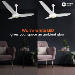 Aerolite Premium Ceiling Fan