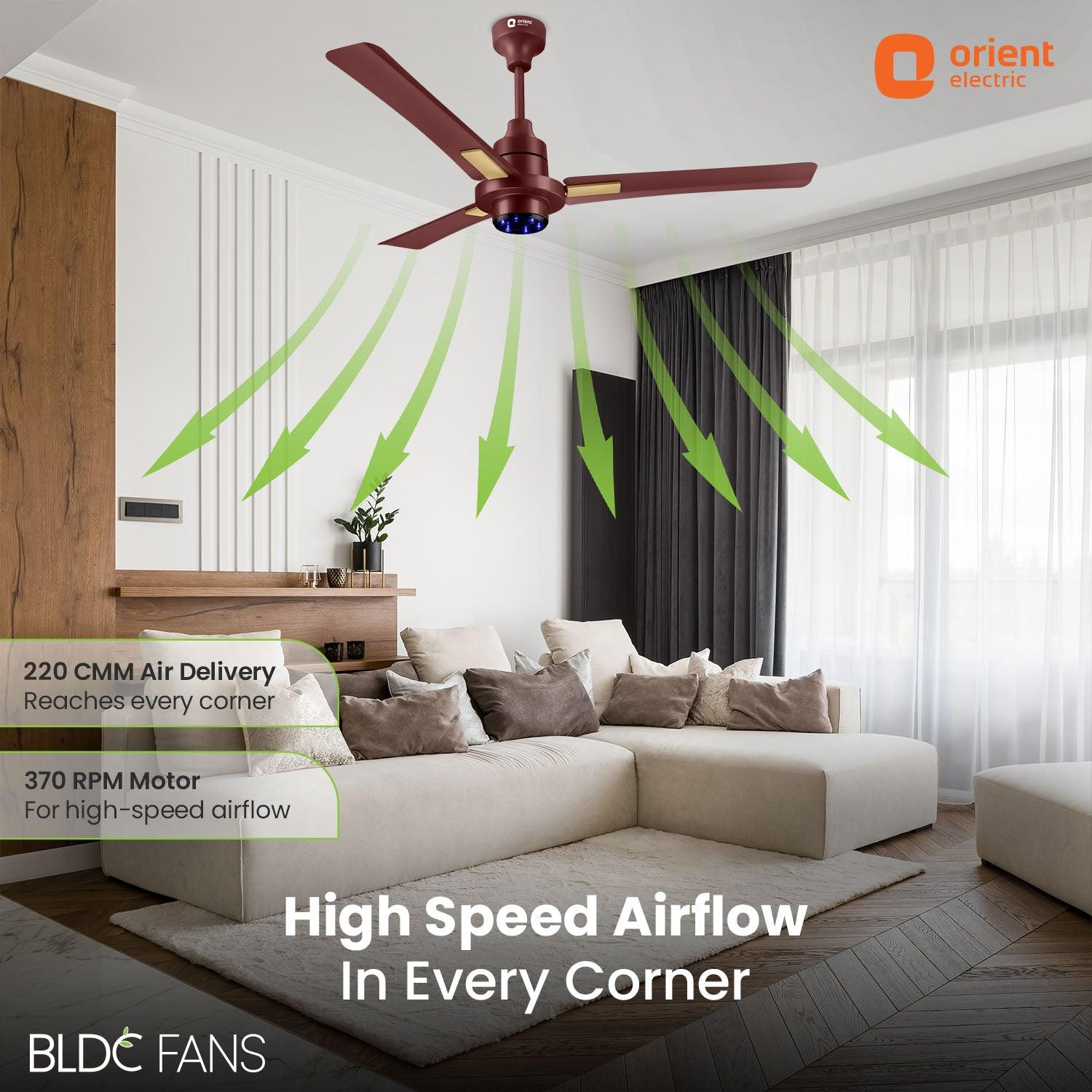 I Tome Smart BLDC Ceiling Fan | 3-Year Warranty