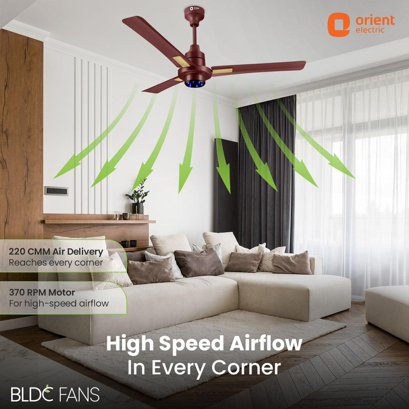 I Tome Smart BLDC Ceiling Fan | 3-Year Warranty