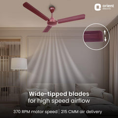 Summerbreeze Pro Ceiling Fan