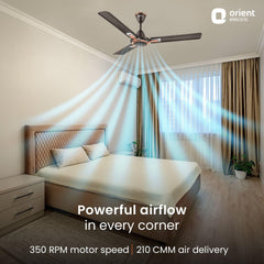 Apex Prime Ceiling Fan | 5-Year Warranty