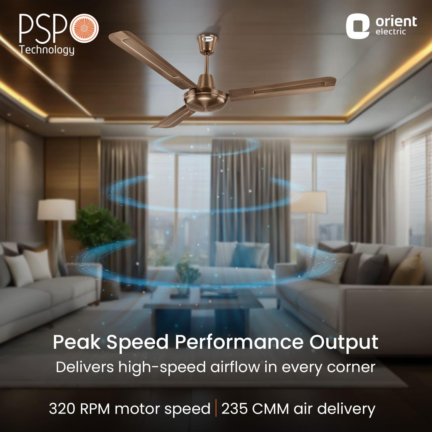Quasar Ceiling Fan | 2-Year Warranty