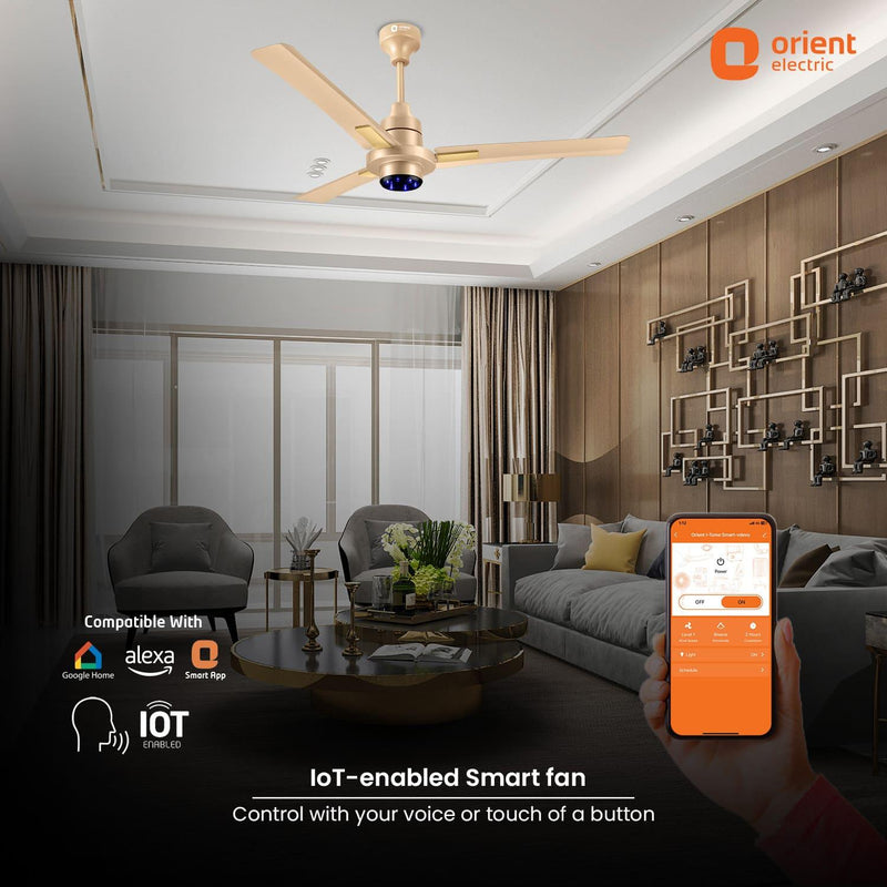 I Tome Smart BLDC Ceiling Fan | 3-Year Warranty