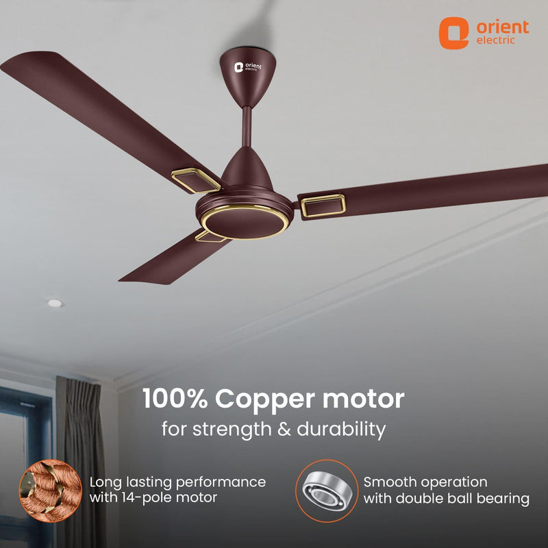 Falcon Deco High Speed Ceiling Fan | 2-Year Quality Warranty