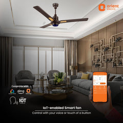 I Tome Smart BLDC Ceiling Fan | 3-Year Warranty