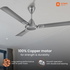 Falcon Deco High Speed Ceiling Fan | 2-Year Quality Warranty