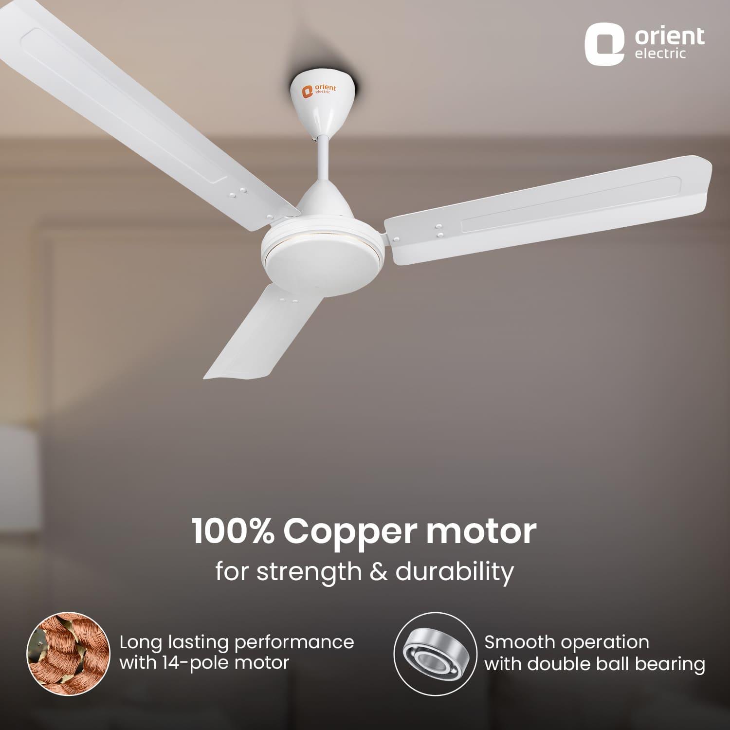 Summerbreeze Pro Ceiling Fan