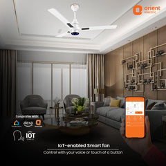 I Tome Smart BLDC Ceiling Fan | 3-Year Warranty