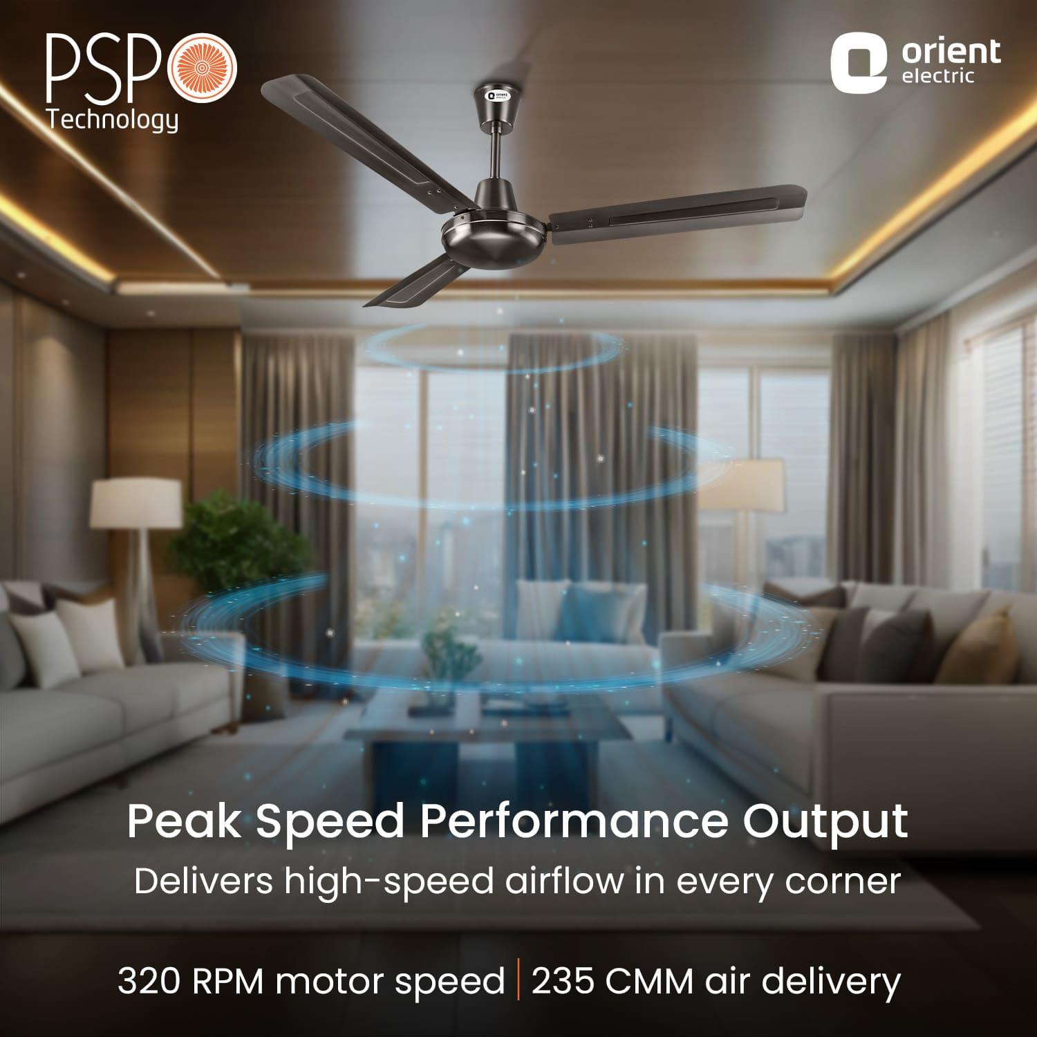 Quasar Ceiling Fan | 2-Year Warranty