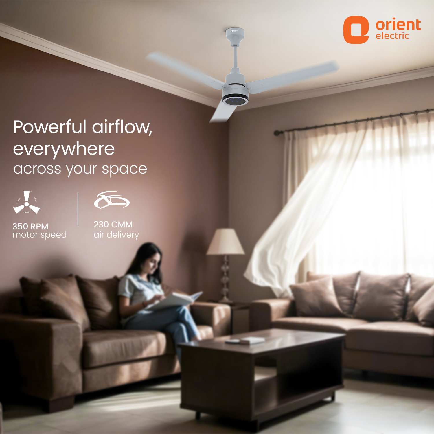 Ecotech Prime CX 5 Star BLDC Ceiling Fan with LED Indicator Light