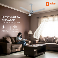 Ecotech Prime CX 5 Star BLDC Ceiling Fan with LED Indicator Light