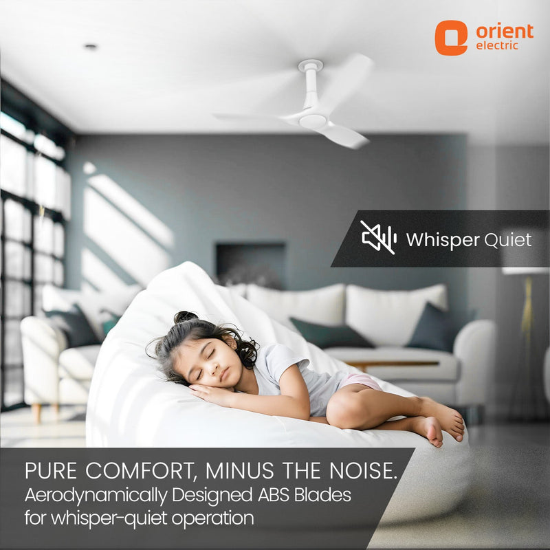 Aerosleek 5 Star Rated Premium BLDC Fan with Remote