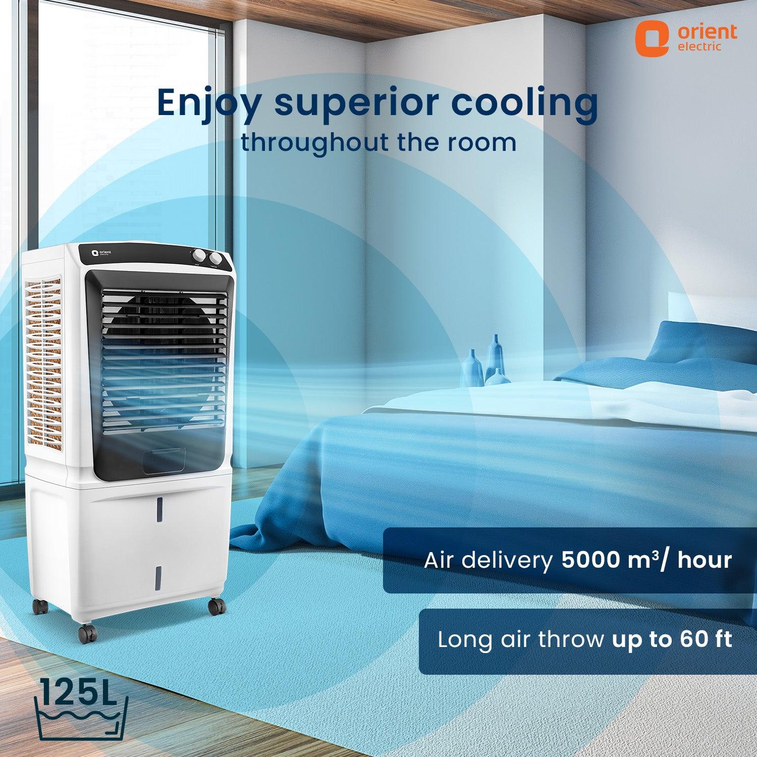 Smartchill Big Size Desert Cooler for Large Spaces