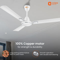Falcon Deco High Speed Ceiling Fan | 2-Year Quality Warranty