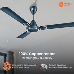 Falcon Deco High Speed Ceiling Fan | 2-Year Quality Warranty
