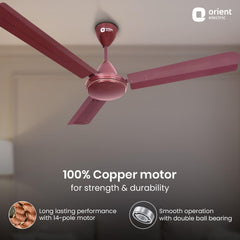 Summerbreeze Pro Ceiling Fan