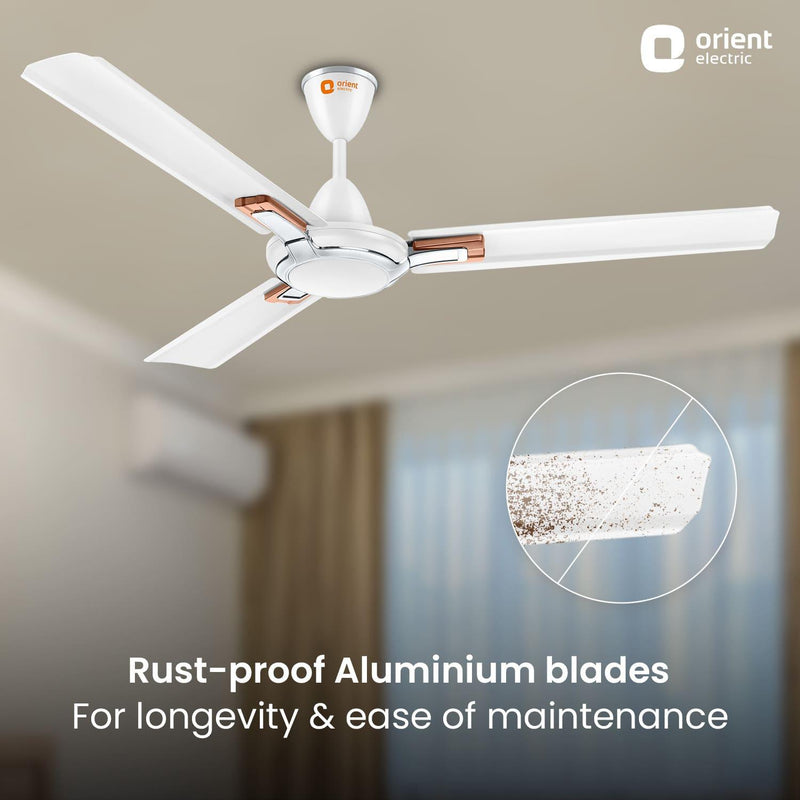 Apex Prime Ceiling Fan | 5-Year Warranty
