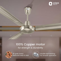 Quasar Ceiling Fan | 2-Year Warranty