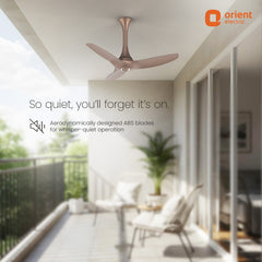 Aeroquiet Baby Premium Ceiling Fan | 2 Year-Warranty