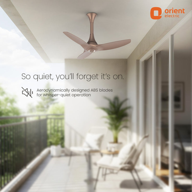 Aeroquiet Baby Premium Ceiling Fan | 2 Year-Warranty