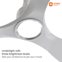 Aerosense Smart BLDC Ceiling Fan | 5 Year Warranty