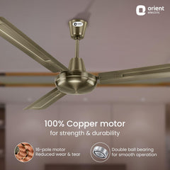 Quasar Ceiling Fan | 2-Year Warranty