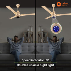 I Tome Smart BLDC Ceiling Fan | 3-Year Warranty