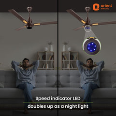 I Tome Smart BLDC Ceiling Fan | 3-Year Warranty