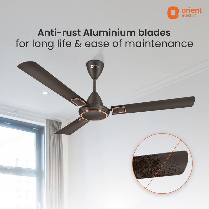 Falcon Deco High Speed Ceiling Fan | 2-Year Quality Warranty