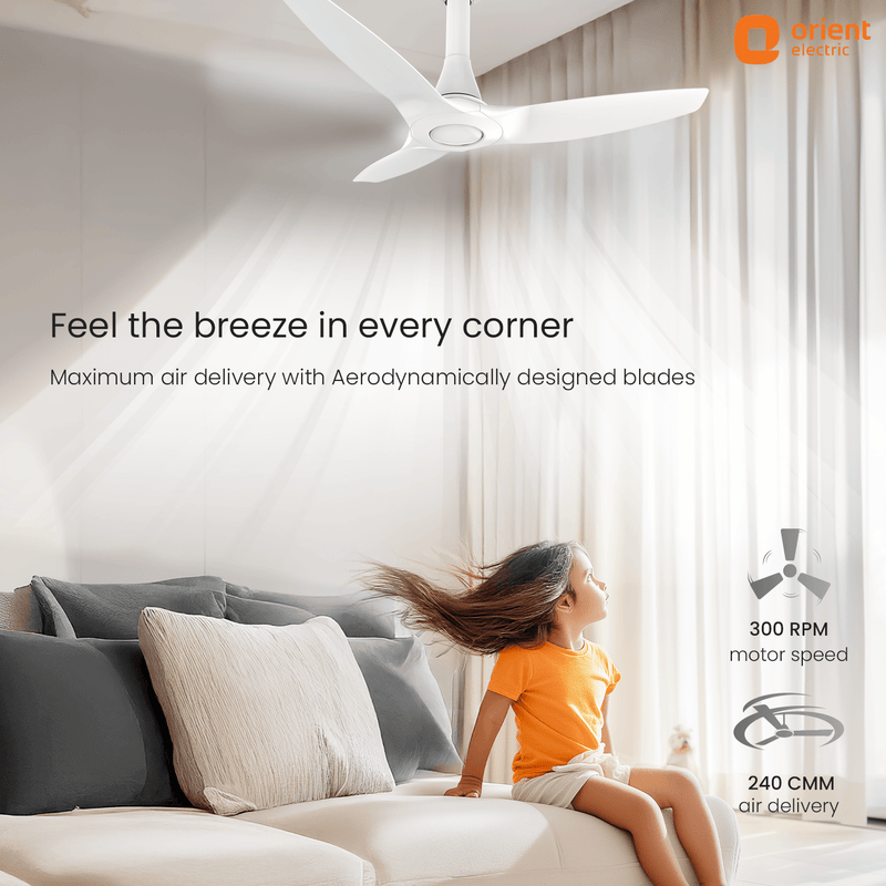 Aeroquiet Neu BLDC Pro Ceiling Fan | Whisper Quiet | Remote Controlled