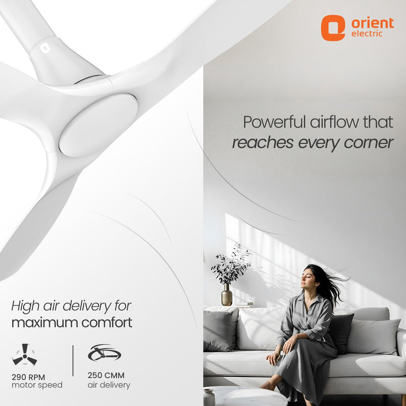 Aerosleek 5 Star Rated Premium BLDC Fan with Remote
