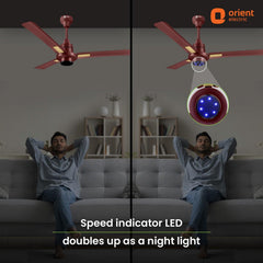 I Tome Smart BLDC Ceiling Fan | 3-Year Warranty