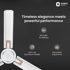 Apex Prime Ceiling Fan | 5-Year Warranty