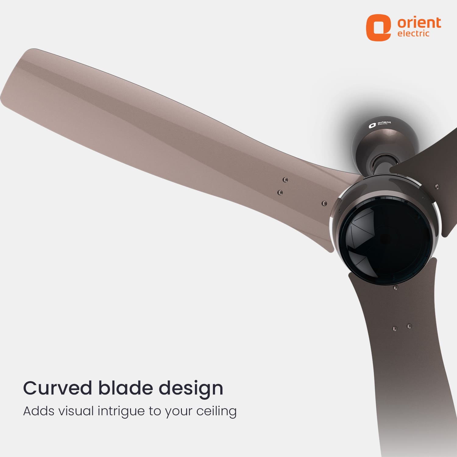 Aeon Antidust BLDC Ceiling Fan |  5-YEAR WARRANTY
