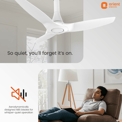 Aeroquiet Neu BLDC Pro Ceiling Fan | Whisper Quiet | Remote Controlled