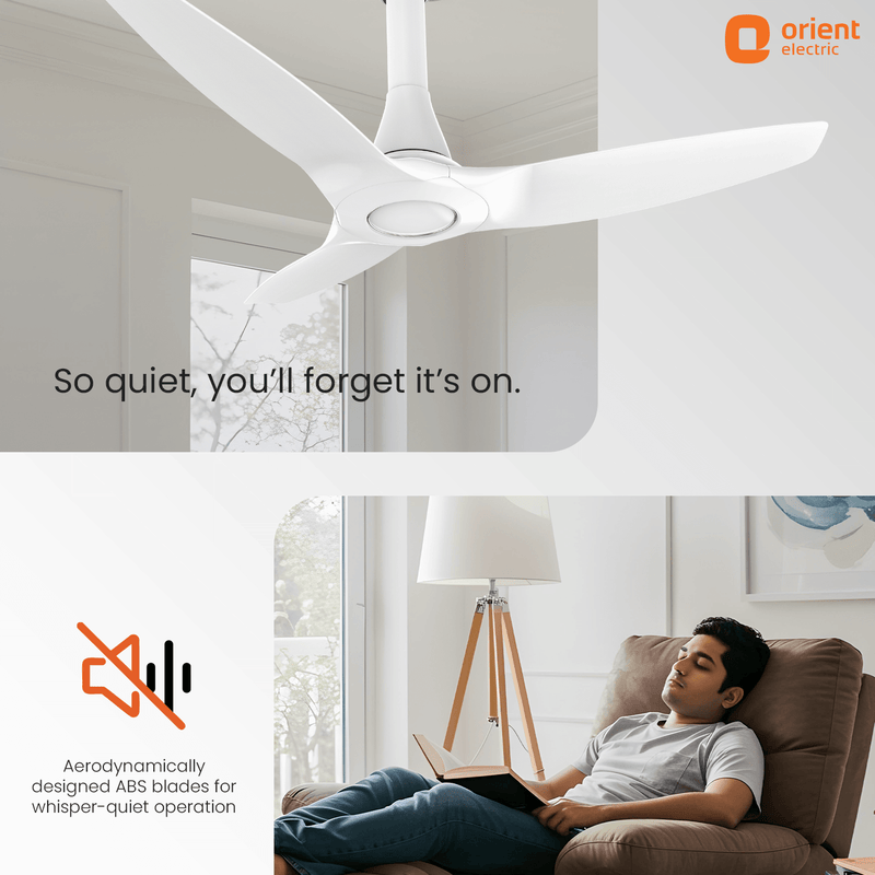 Aeroquiet Neu BLDC Pro Ceiling Fan | Whisper Quiet | Remote Controlled