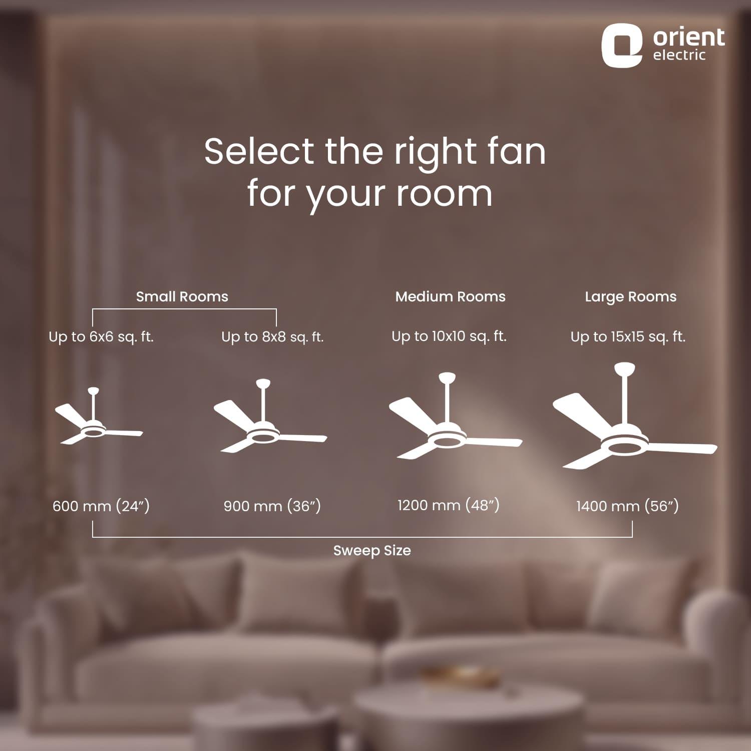 Quasar Ceiling Fan | 2-Year Warranty