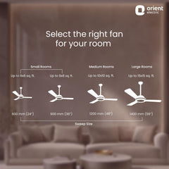 Quasar Ceiling Fan | 2-Year Warranty